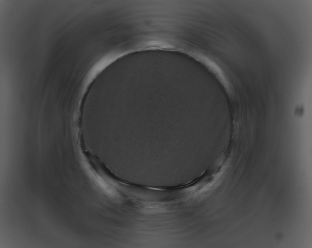 X0000096631373200802121038