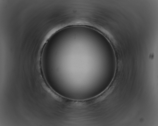 X0000096631374200802121038