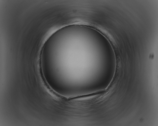 X0000096631375200802121038