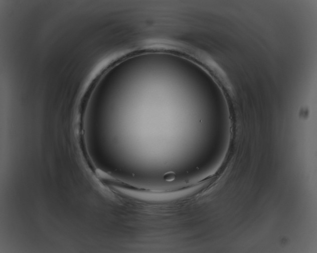 X0000096631376200802121037