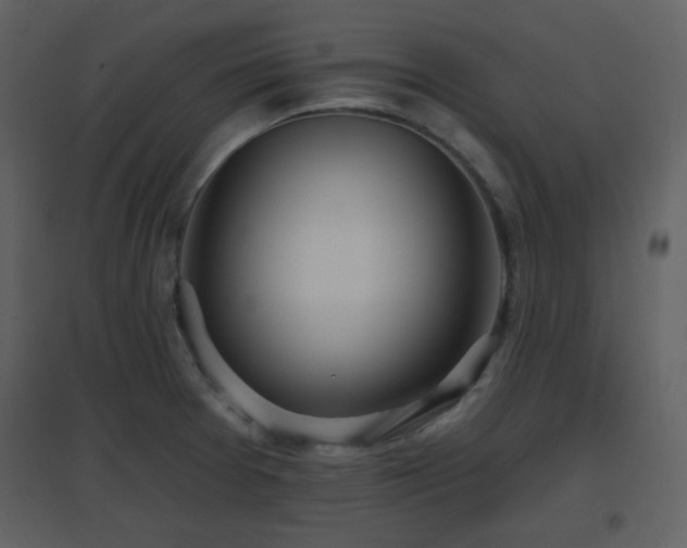 X0000096631377200802121037