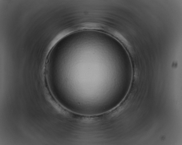 X0000096631378200802121037