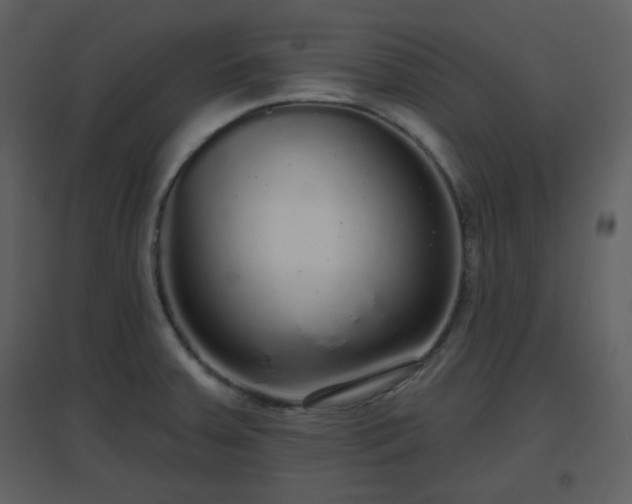 X0000096631379200802121037