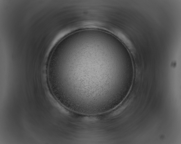 X0000096631384200802121037