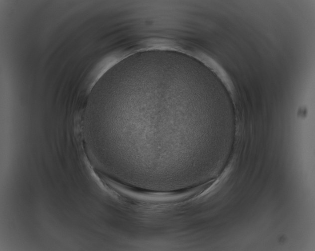 X0000096631385200802121037