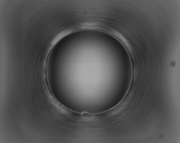 X0000096631386200802121037