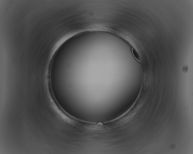 X0000096631387200802121037