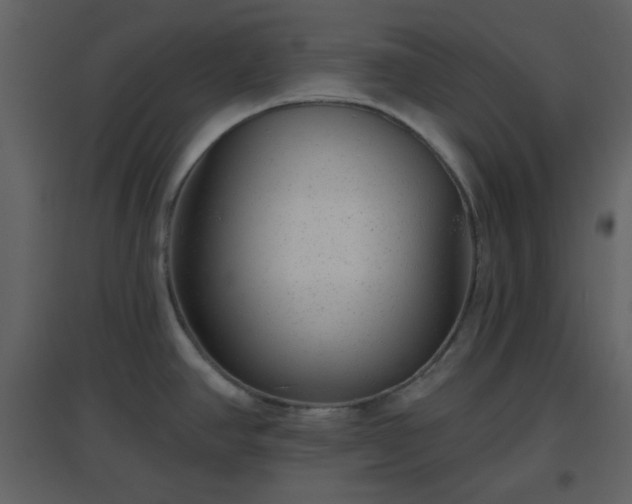 X0000096631390200802121037