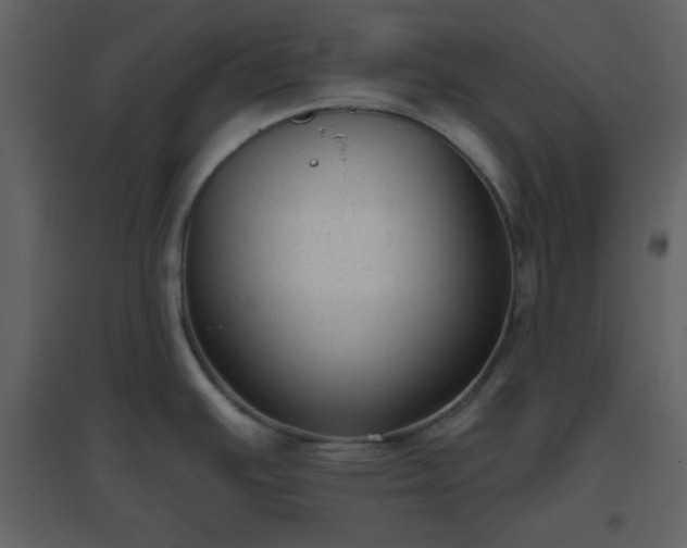 X0000096631391200802121037