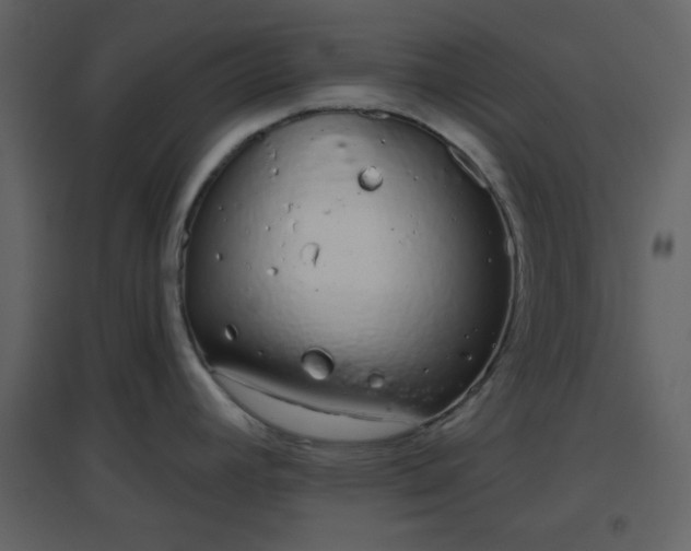 X0000096631392200802121037