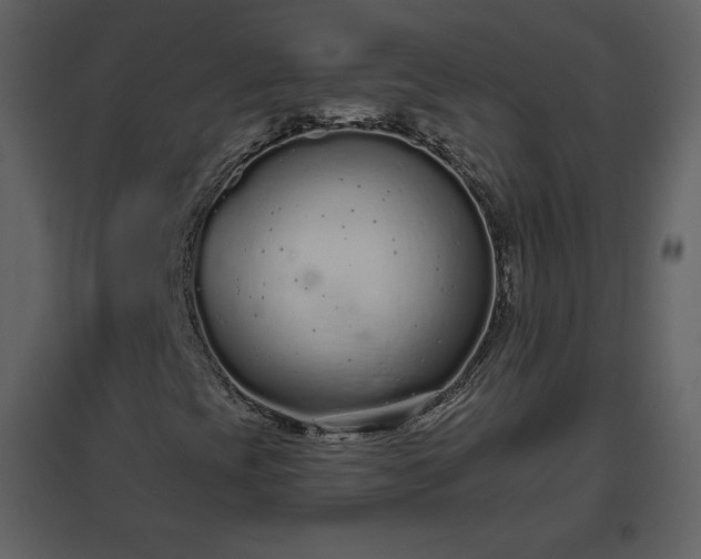 X0000096631393200802121037