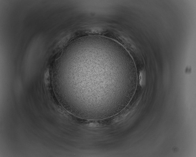 X0000096631395200802121037
