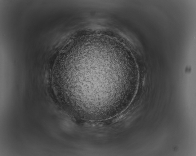 X0000096631397200802121037