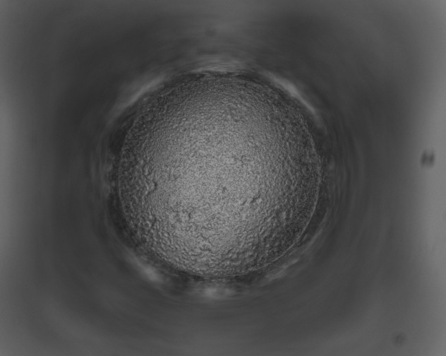 X0000096631399200802121037
