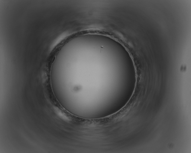 X0000096631400200802121037