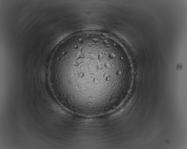 X0000096631401200802121037