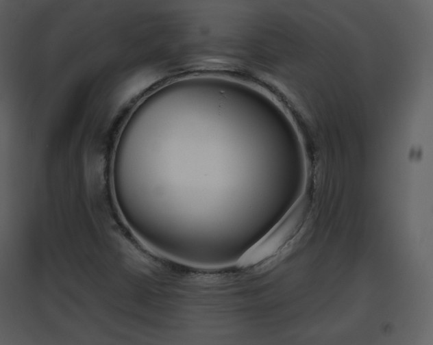 X0000096631402200802121037