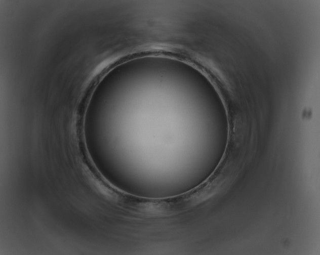 X0000096631404200802121037