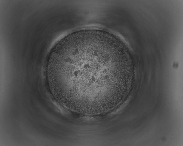 X0000096631405200802121037