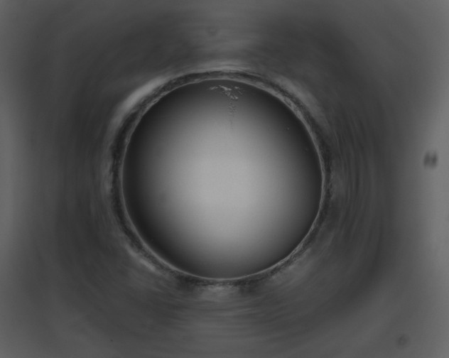 X0000096631406200802121037