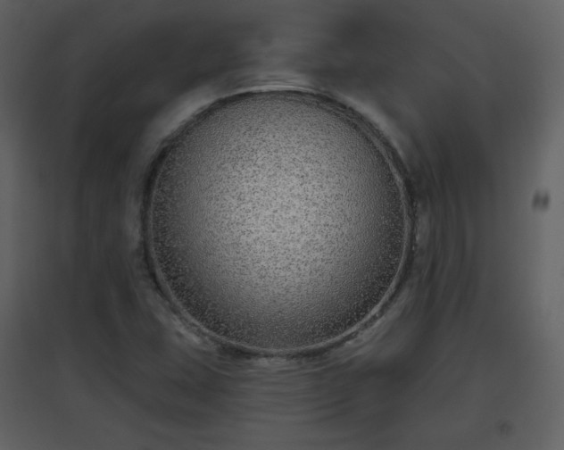 X0000096631407200802121037