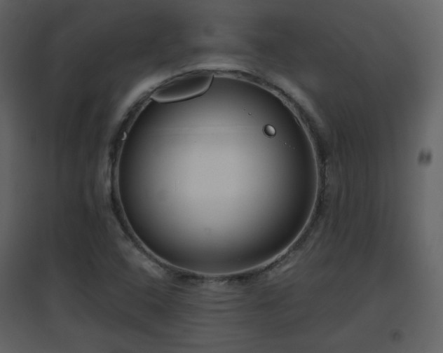 X0000096631408200802121037