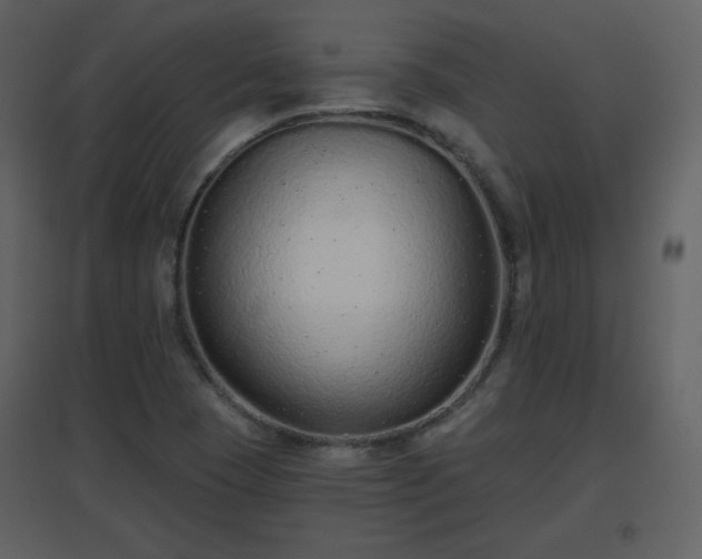 X0000096631409200802121037