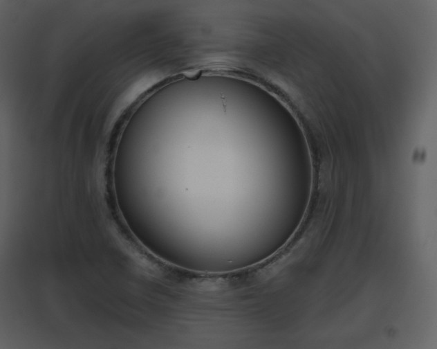 X0000096631410200802121037