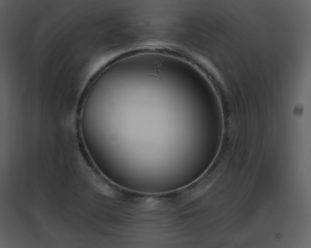 X0000096631412200802121037
