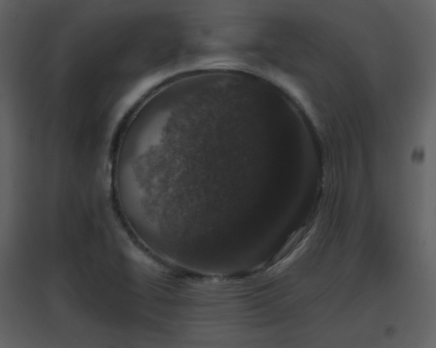 X0000096631414200802121037
