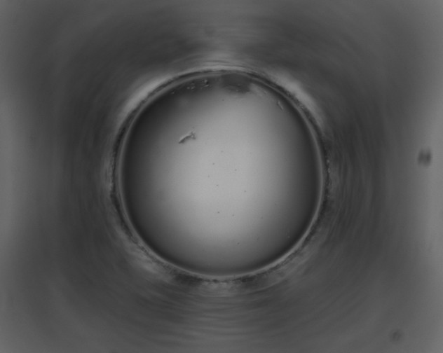 X0000096631415200802121037