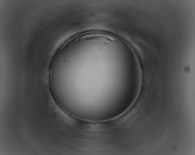 X0000096631416200802121037