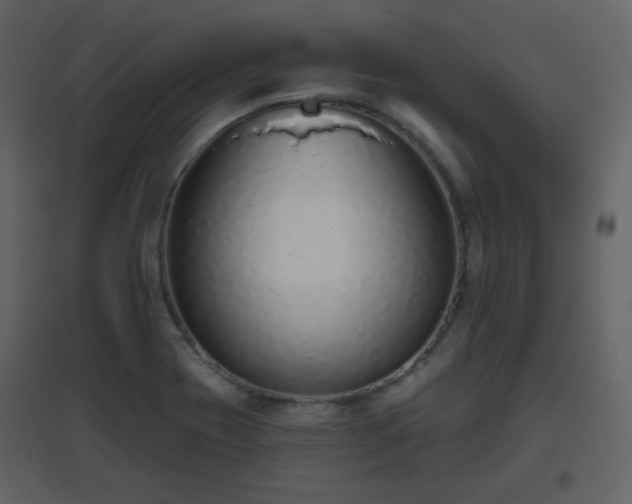 X0000096631417200802121037