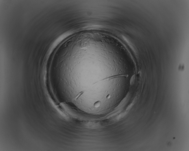 X0000096631418200802121037