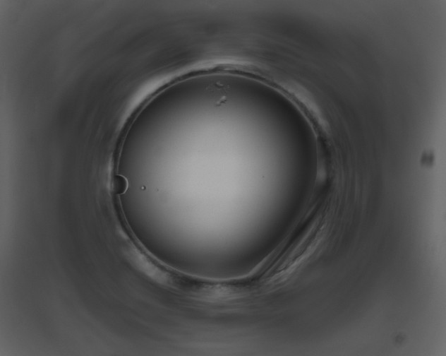 X0000096631420200802121037