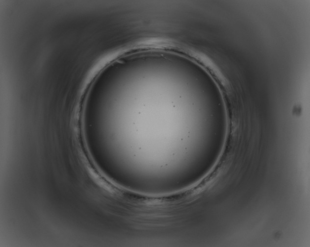 X0000096631421200802121037