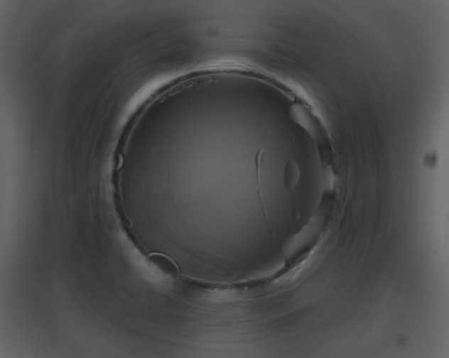 X0000096631422200802121037