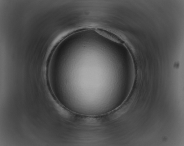 X0000096631424200802121037