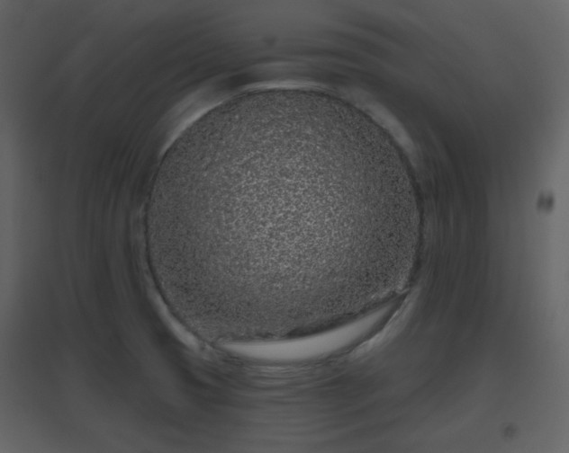 X0000096631425200802121037