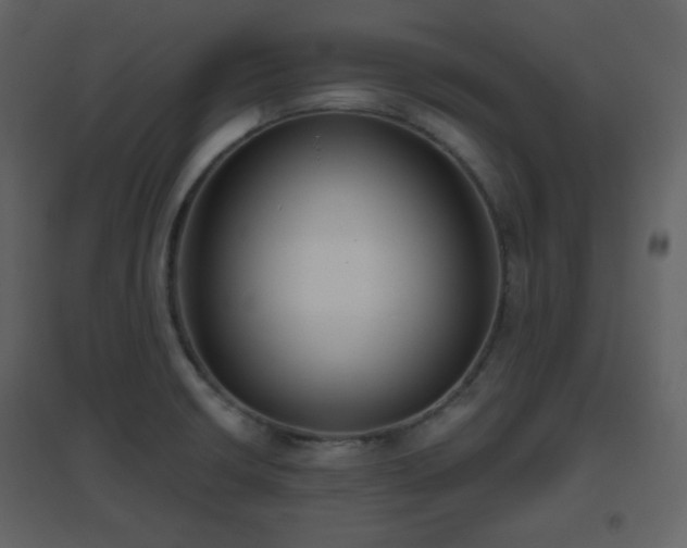 X0000096631426200802121037