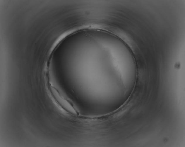 X0000096631428200802121037