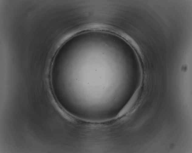 X0000096631429200802121037