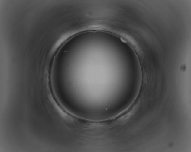 X0000096631430200802121037