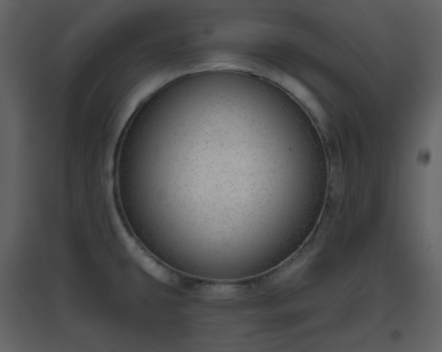 X0000096631431200802121037