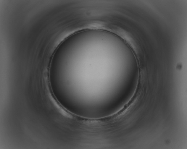 X0000096631432200802121037
