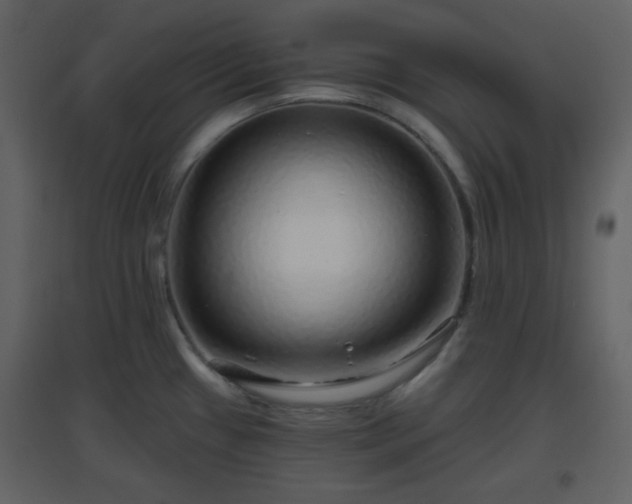 X0000096631433200802121037