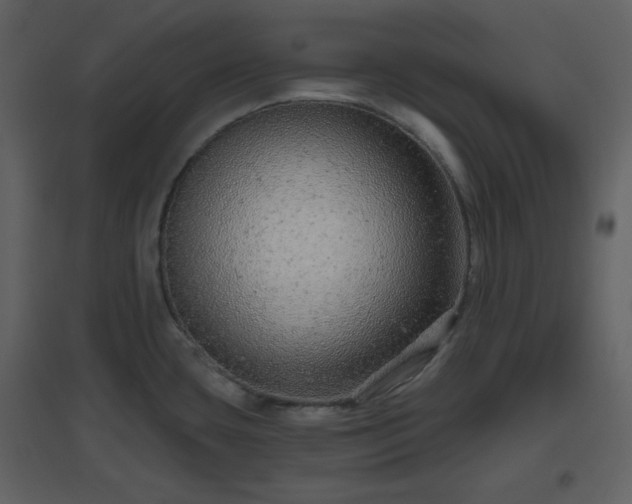 X0000096631435200802121037