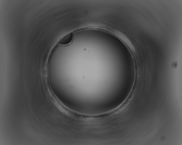 X0000096631436200802121037