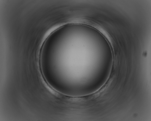X0000096631437200802121037