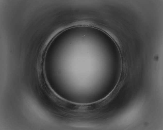 X0000096631438200802121037